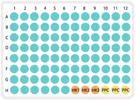 阿尔兹海默症基因表达PCR芯片
